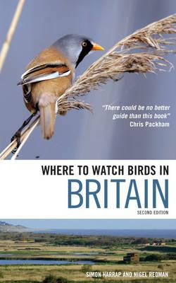 Camping charity Where to watch birds in britain.jpg